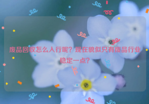 廢品回收怎么入行呢？現(xiàn)在貌似只有廢品行業(yè)穩(wěn)定一點(diǎn)？
