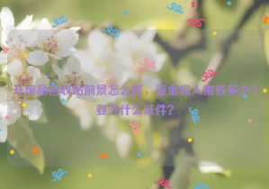 開廢品回收站前景怎么樣，資金投入需要多少？要辦什么證件？