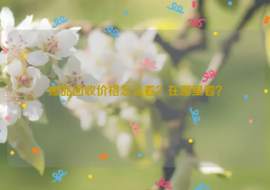 廢品回收價(jià)格怎么看？在哪里看？