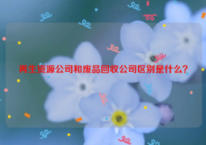 再生資源公司和廢品回收公司區(qū)別是什么？