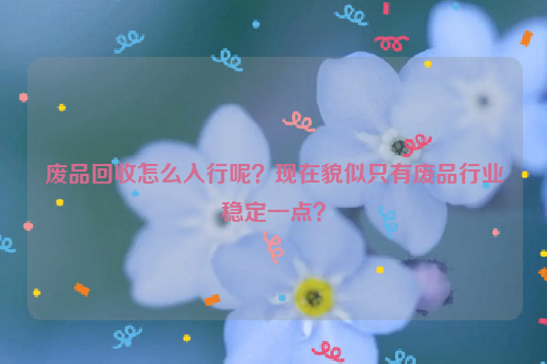 廢品回收怎么入行呢？現(xiàn)在貌似只有廢品行業(yè)穩(wěn)定一點(diǎn)？