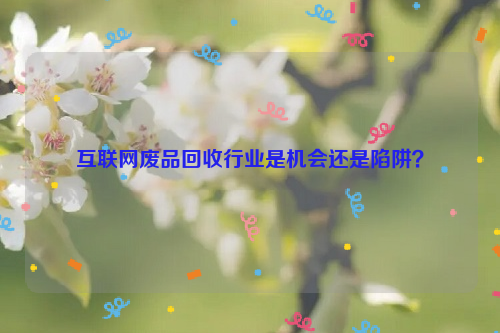 互聯(lián)網(wǎng)廢品回收行業(yè)是機會還是陷阱？