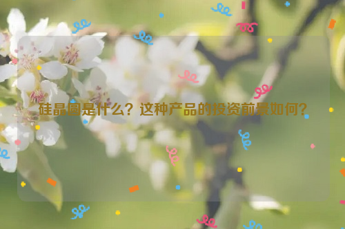 硅晶圓是什么？這種產(chǎn)品的投資前景如何？