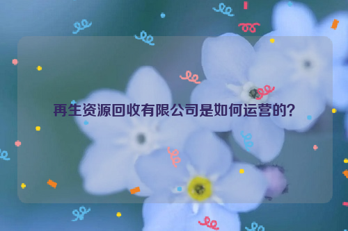 再生資源回收有限公司是如何運營的？