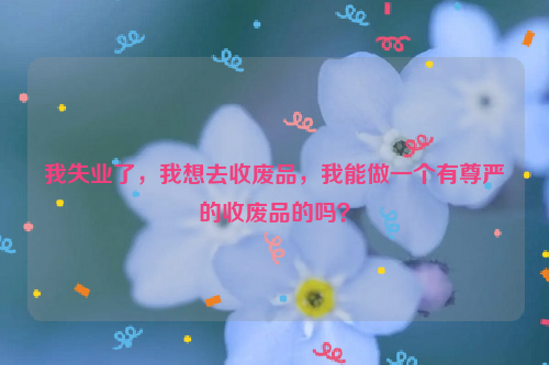 我失業(yè)了，我想去收廢品，我能做一個(gè)有尊嚴(yán)的收廢品的嗎？