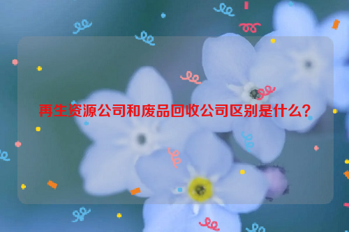 再生資源公司和廢品回收公司區(qū)別是什么？