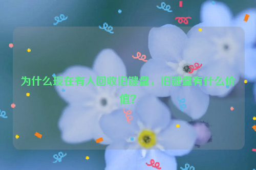 為什么現(xiàn)在有人回收舊鍵盤，舊鍵盤有什么價(jià)值？