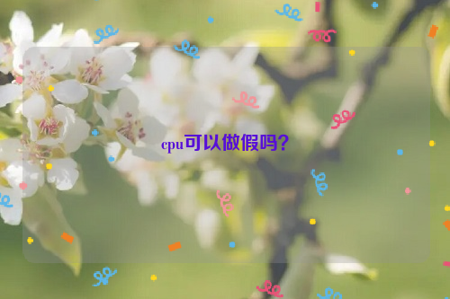 cpu可以做假嗎？